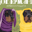 Человек собаке друг - Библиотека семейного чтения