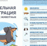 image - Газета Балтийский луч