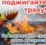 image - Газета Балтийский луч