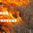 image - Газета Балтийский луч