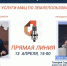 Горячая линия МФЦ и Роскадастра – о новых услугах - Ломоносовский район