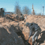 image - Газета Балтийский луч